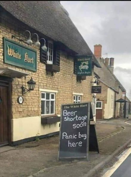 beer.jpg