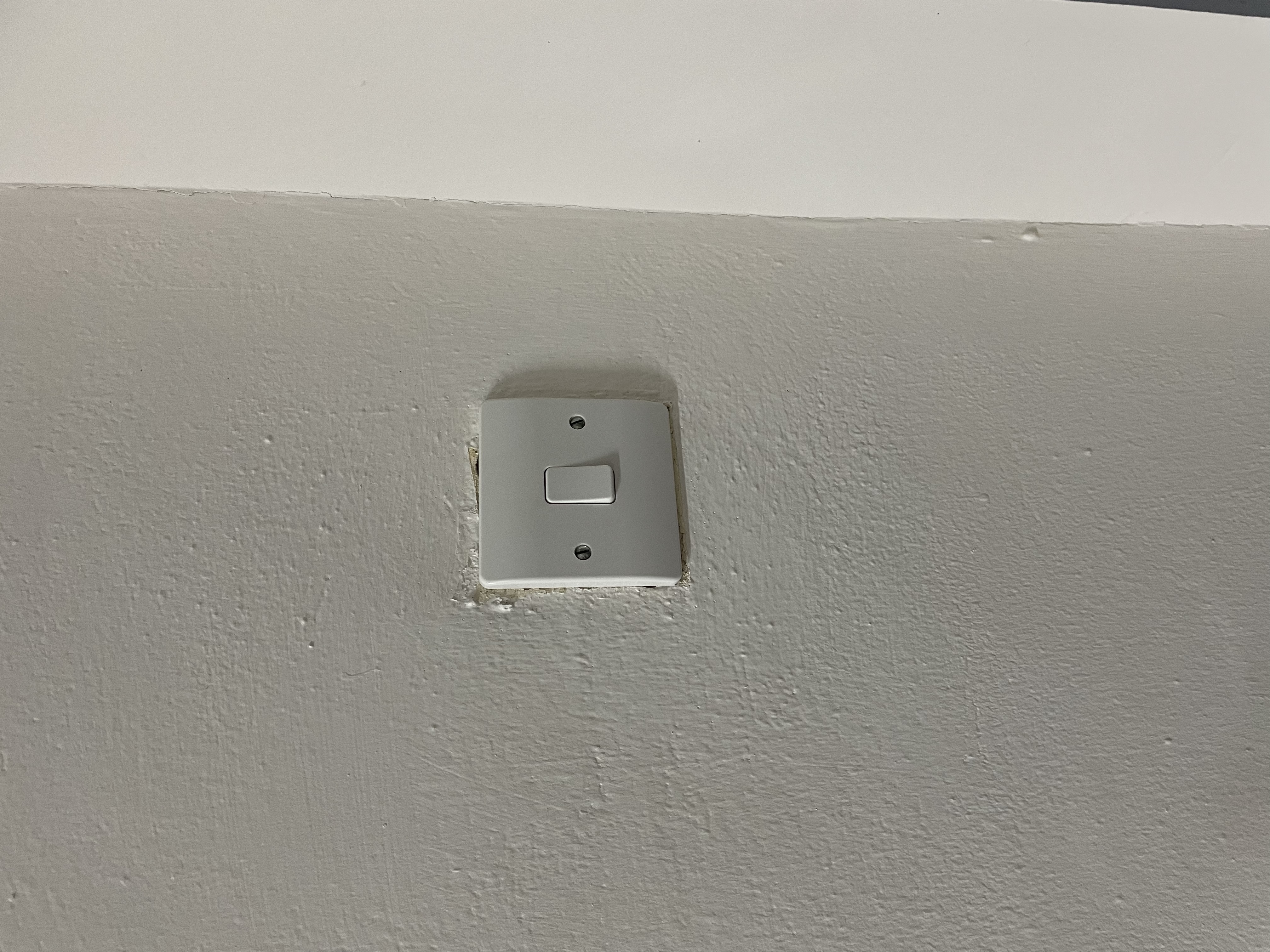 2646C526-D433-4DBB-9DF0-164CDB3DEC94.jpeg